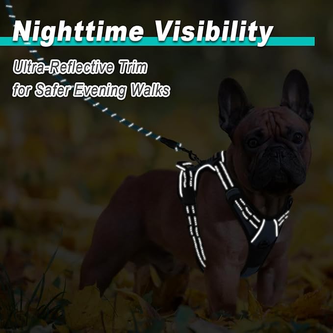 BARKBAY Dog Harness No Pull for Small Dogs - Adjustable, Reflective, Comfortable, No Choke, Heavy-Duty - Perfect for Outdoor Training, Walking, and Hiking - Strong & Durable - XS & Navy