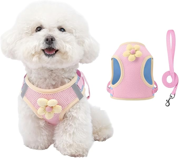 Floral Mesh Dog Harness with Matching Leash, Lightweight Pet Vest,Suitable for Small and Medium-Sized Cats and Dogs to Wear， Pink/Yellow (Pink, L:16-20lbs)