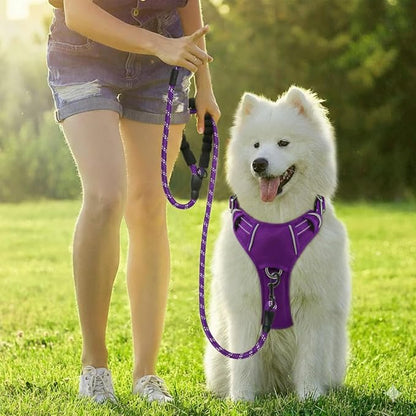 BARKBAY Dog Harness No Pull Oxford with ID Tag Pocket - Heavy Duty, Reflective, Easy Control for Large Dogs(Purple Oxford,XS)