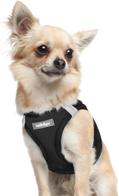 rabbitgoo Small Dog Harness, Step-in Soft Mesh Puppy Vest with Safety Buckle, Breathable Reflective Pet Harness for Extra Small Dogs, Black XXXS