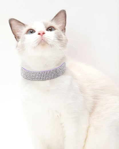 Dog Collar for Medium Dogs, Adjustable Leather Suede Bling Dog Collars，Rose Red Dog Collar Cat Collar, Rhinestone Dog Collar (M, Purple)