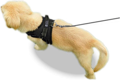 No Pull Reflective Adjustable Dog Harness With Handle- Comfortable Soft All Weather Mesh, Easy On Puppy Harness For Small Medium and Large Dogs (Black) X-Small