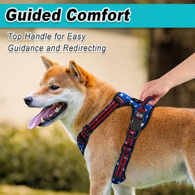 BARKBAY Dog Harness No Pull Mesh for Small Dogs - Adjustable, Reflective, Comfortable, No Choke, Heavy-Duty - Perfect for Outdoor Training, Walking, and Hiking - Strong & Durable - S & Blue Star Mesh
