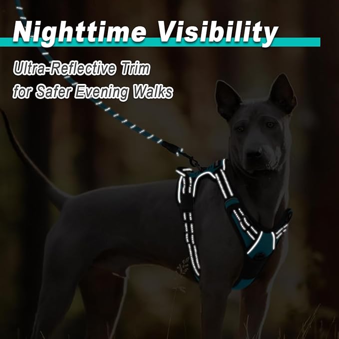 BARKBAY Dog Harness No Pull Mesh for Small Dogs - Adjustable, Reflective, Comfortable, No Choke, Heavy-Duty - Perfect for Outdoor Training, Walking, and Hiking - Strong & Durable - S & Blue Mesh