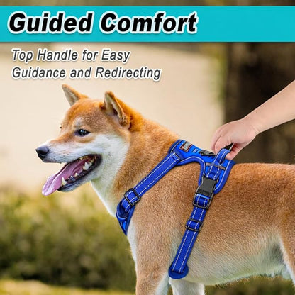 BARKBAY Dog Harness No Pull Mesh for Small Dogs - Adjustable, Reflective, Comfortable, No Choke, Heavy-Duty - Perfect for Outdoor Training, Walking, and Hiking-Strong&Durable- S & Sapphire Blue Mesh