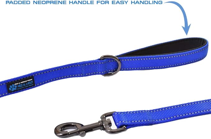 Max and Neo Small Dog Leash - Reflective Nylon, Donates to Dog Rescue (Teal, 4x5/8)
