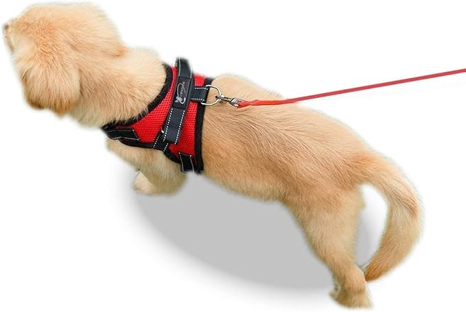 No Pull Reflective Adjustable Dog Harness with Handle- Comfortable Soft All Weather Mesh, Easy On Puppy Harness for Small Medium and Large Dogs (Red) Small