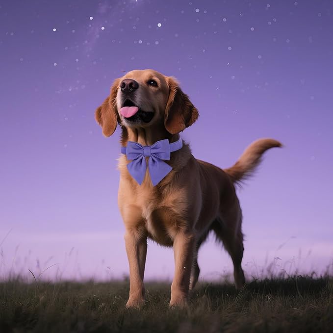 Maca Bates Purple Dog Collar with Cute Petunia Solid Sailor Bow Tie,Extra Large Girl Boy Dogs,Girly Adjustbale Durable Breakaway Soft Collars with Bowtie for Female Male Puppy,Pet with Metal Buckle