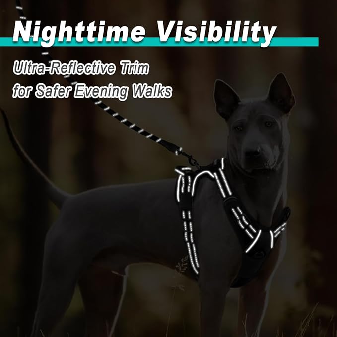 BARKBAY Dog Harness No Pull Mesh for Large Dogs - Adjustable, Reflective, Comfortable, No Choke, Heavy-Duty - Perfect for Outdoor Training, Walking, and Hiking - Strong & Durablee - XL & Black Mesh