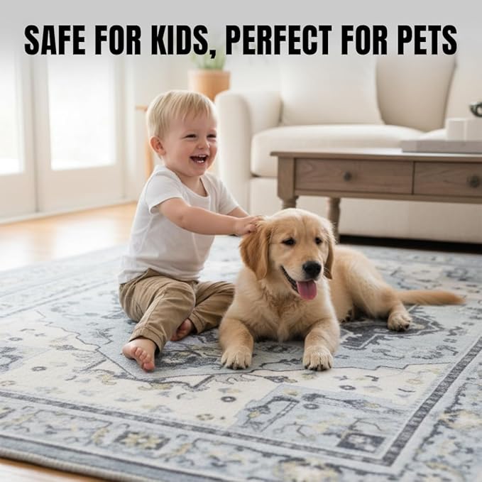 Muddy Mat짰 Azure 2ft x 10ft Washable Area Rugs for Living Room, Bedroom & Dining Room ??Modern Soft Low Pile Non Slip Carpet ??Pet Friendly Waterproof Foldable Rugs for Home