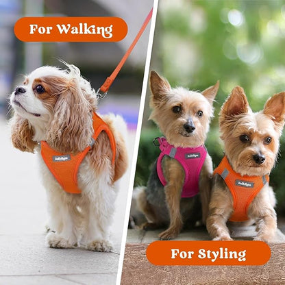 rabbitgoo Small Dog Harness, Step-in Soft Mesh Puppy Vest with Safety Buckle, Breathable Reflective Pet Harness for Extra Small Dogs, Orange XXXS