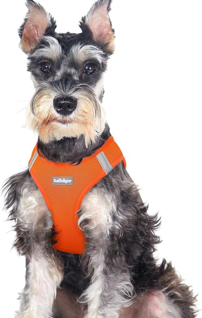 rabbitgoo Small Dog Harness, Step-in Soft Mesh Puppy Vest with Safety Buckle, Breathable Reflective Pet Harness for Large Dogs, Orange XXL