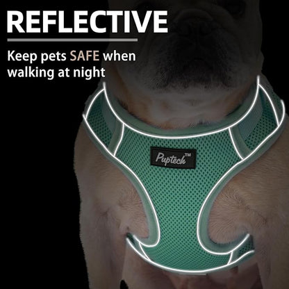 PUPTECK Small Dog Harness and Leash Set, No Pull Adjustable Puppy Cat Harness, Reflective Soft Mesh Pet Vest Small Sized, Green, S