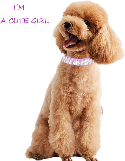 Dog Collar for Small Dogs, Adjustable Leather Suede Bling Dog Collars，Pink Dog Collar Cat Collar, Rhinestone Dog Collar (S, purple3)
