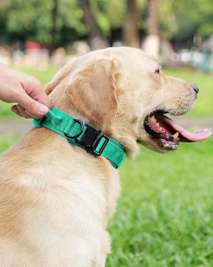 Joytale Tactical Dog Collar with Handle, Adjustable Heavy Duty Military Collar with 2 Patches for Training, Suitable for Medium Dogs, Teal, M