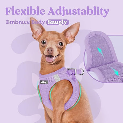 rabbitgoo Small Dog Harness, Step-in Soft Mesh Puppy Vest with Safety Buckle, Breathable Reflective Pet Harness for Small Sized Dogs, Light Purple S