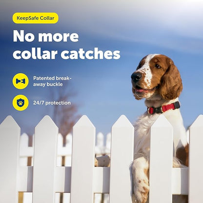 PetSafe KeepSafe Collar for Dogs - Protects Against Collar Accidents - Long Lasting - Durable - Adjustable - Breakaway - Outdoor-Safe - Medium - 3/4 In. Wide - Red