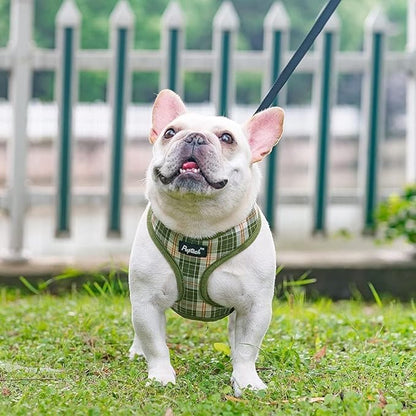 PUPTECK Soft Mesh Dog Harness and Leash Set Pet Puppy Cat Comfort Padded Vest No Pull Harnesses, Olive Green, L