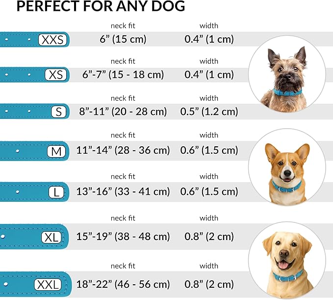 CollarDirect Rolled Leather Dog Collar, Soft Padded Round Puppy Collar, Handmade Genuine Leather Collar Dog Small Large Cat Collars 13 Colors (18-22 Inch, Light Blue Smooth)