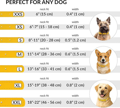 CollarDirect Rolled Leather Dog Collar, Soft Padded Round Puppy Collar, Handmade Genuine Leather Collar Dog Small Large Cat Collars 13 Colors (6 Inch, Yellow Smooth)