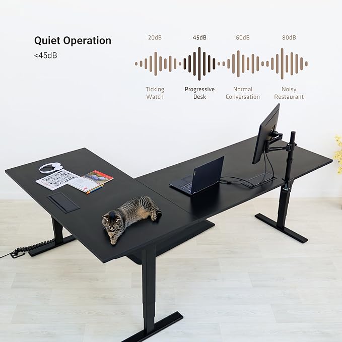 Standing Desk: FLT-05, DT-3030-BB, DT-4830-BB, DA-10-Black