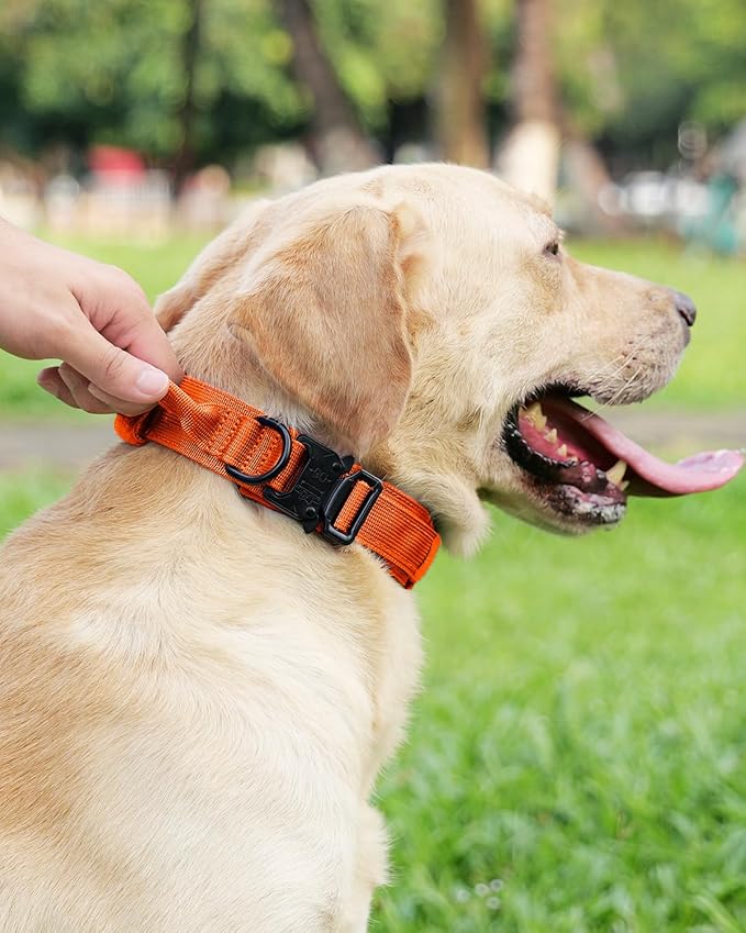 Joytale Tactical Dog Collar with Handle, Adjustable Heavy Duty Military Collar with 2 Patches for Training, Suitable for Medium Dogs, Orange, M