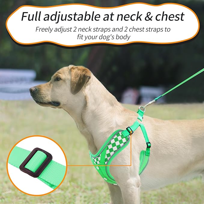 Dog Lovely Harness with Leash Set, Adjustable Step in with Breathable Padded Puppy Harness for Large Medium Dogs (L Green)