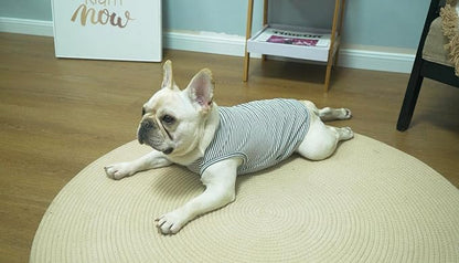 Dog Shirt,Combed Cotton T-Shirts,Soft Cool Boy Girl Tee for Large Dogs Bulldog,Grey Striped XL
