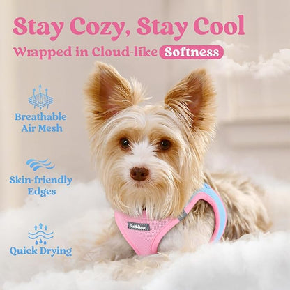rabbitgoo Small Dog Harness, Step-in Soft Mesh Puppy Vest with Safety Buckle, Breathable Reflective Pet Harness for Small Medium Dogs, Blue & Light Pink L