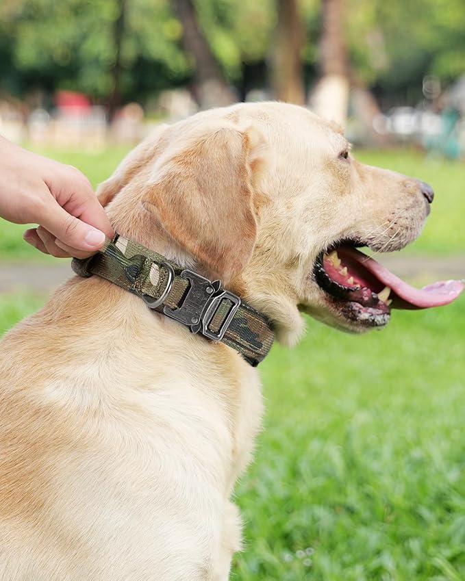 Joytale Tactical Dog Collar with Handle, Adjustable Heavy Duty Military Collar with 2 Patches for Training, Suitable for Medium Dogs, Camouflage, M