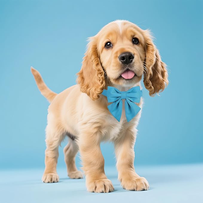 Maca Bates Sky Blue Dog Collar with Cute Solid Sailor Bow Tie for Extra Large Girl Boy Dogs,Adjustbale Durable Breakaway Soft Collars with Bowtie for Female Male Puppy,Pet with Metal Buckle
