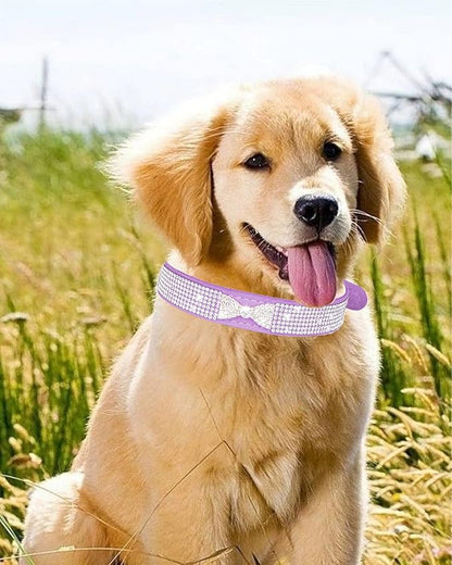 Dog Collar for Small Dogs, Adjustable Leather Suede Bling Dog Collars，Pink Dog Collar Cat Collar, Rhinestone Dog Collar (M, Rose red4)