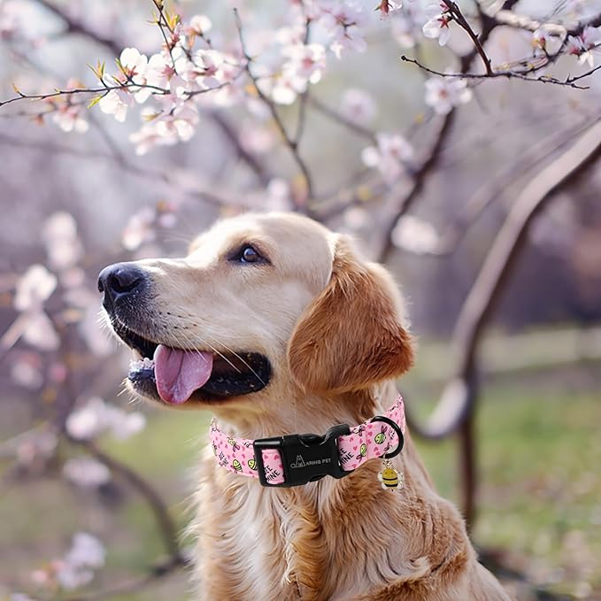 ARING PET Pink Dog Collar, Cute Yellow Bees Pet Collars for Puppy Small Medium Large Boy Girl Dogs-S