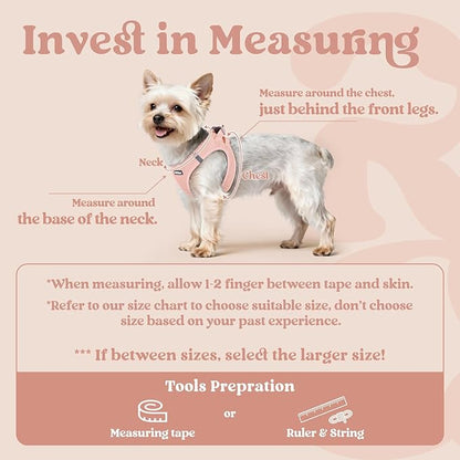 rabbitgoo Small Dog Harness, Step-in Soft Mesh Puppy Vest with Safety Buckle, Breathable Reflective Pet Harness for Large Dogs, Pink XXL