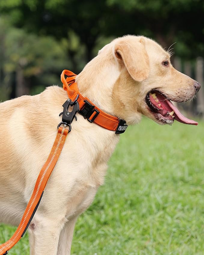 Joytale Tactical Dog Collar with Handle, Adjustable Heavy Duty Military Collar with 2 Patches for Training, Suitable for Medium Dogs, Orange, M