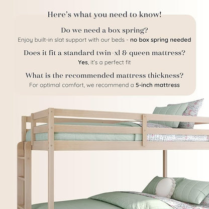 Grain & Grove Bear Twin XL Over Queen Bunk Bed, Sturdy Bunk Bed Frame for Kids, Plywood Bunk with Ladder, Guardrail, and Slats, No Box Spring Required, Oak Embossed Natural