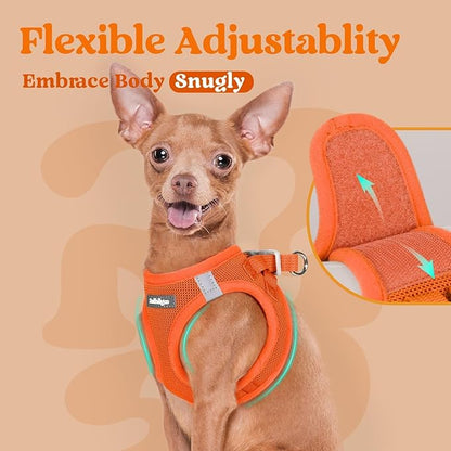 rabbitgoo Small Dog Harness, Step-in Soft Mesh Puppy Vest with Safety Buckle, Breathable Reflective Pet Harness for Small Medium Dogs, Orange L