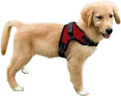 No Pull Reflective Adjustable Dog Harness with Handle- Comfortable Soft All Weather Mesh, Easy On Puppy Harness for Small Medium and Large Dogs (Red) Small