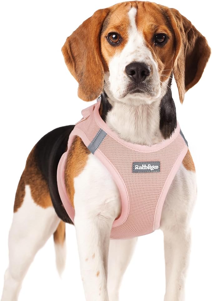 rabbitgoo Small Dog Harness, Step-in Soft Mesh Puppy Vest with Safety Buckle, Breathable Reflective Pet Harness for Small Medium Dogs, Pink XL