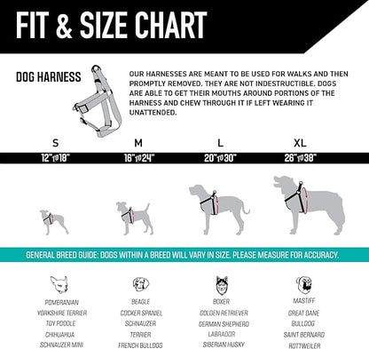 Wolfgang Heavy Duty Adjustable Dog Harness, Pull-Tested to Over 800 lbs for Walking & Training, LosMuertos Print, Large