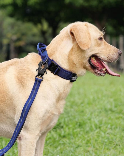 Joytale Tactical Dog Collar with Handle, Adjustable Heavy Duty Military Collar with 2 Patches for Training, Suitable for XLarge Dogs, Navyblue, XL