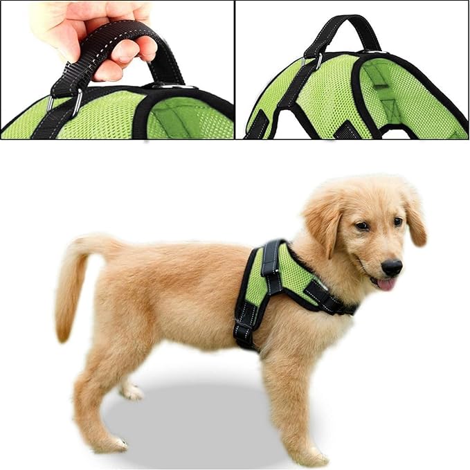 No Pull Reflective Adjustable Dog Harness With Handle- Comfortable Soft All Weather Mesh, Easy On Puppy Harness For Small Medium and Large Dogs (Green) XX-Small