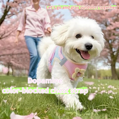Floral Mesh Dog Harness with Matching Leash, Lightweight Pet Vest,Suitable for Small and Medium-Sized Cats and Dogs to Wear， Pink/Yellow (Pink, L:16-20lbs)