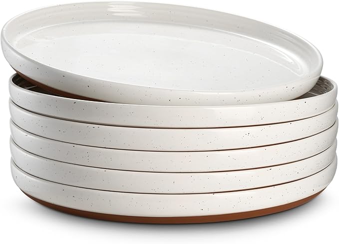 DOWAN 10.5" Large Dinner Plates Set of 6, Ceramic Salad Plate, Microwave, Oven & Dishwasher Safe, Moon-White Design Perfect for Party Dessert, Wedding Appetizer, Birthday, Mothers Day Gifts