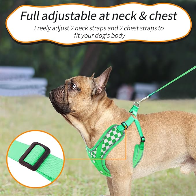 Dog Harness with Leash Set, Adjustable Step in with Breathable Padded Vest Harness for Medium Large Dogs Training and Running (M Green)