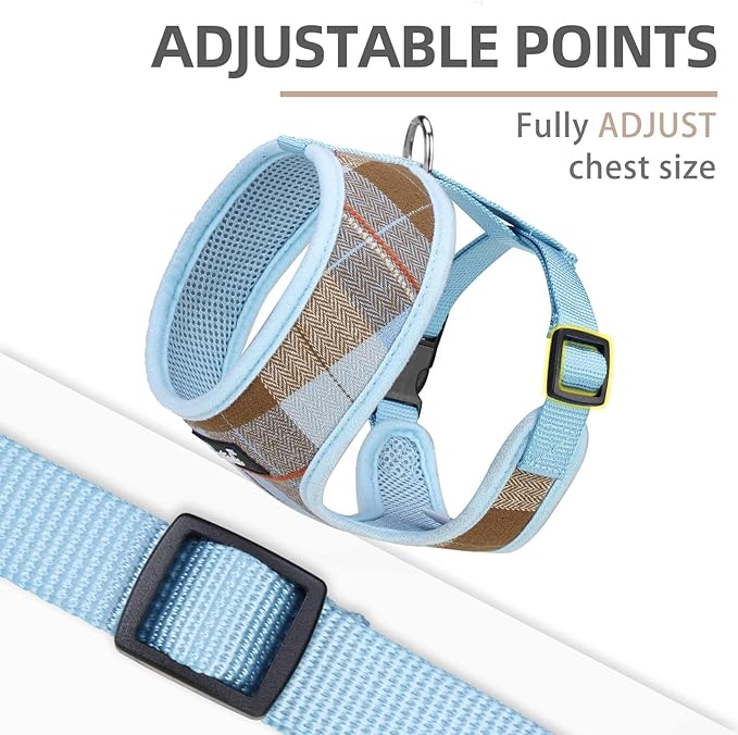 PUPTECK Soft Mesh Dog Harness and Leash Set Pet Puppy Cat Comfort Padded Vest No Pull Harnesses, Blue&Brown, XS