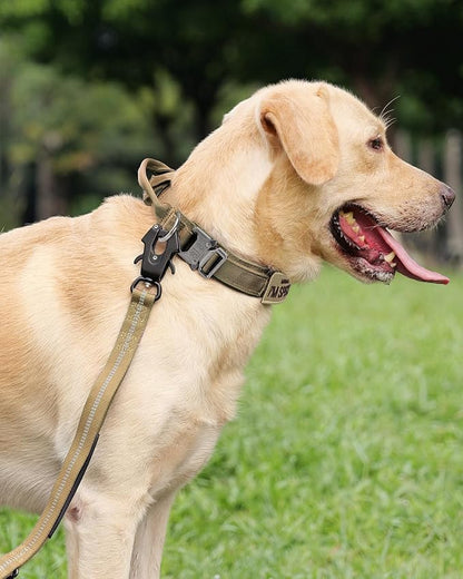 Joytale Tactical Dog Collar with Handle, Adjustable Heavy Duty Military Collar with 2 Patches for Training, Suitable for XLarge Dogs, Khaki, XL