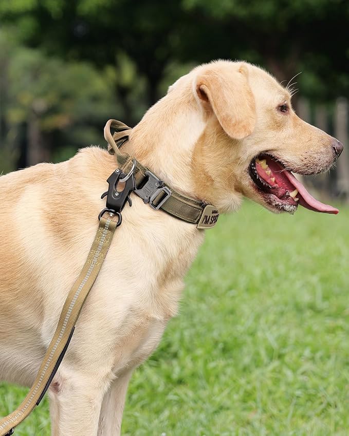 Joytale Tactical Dog Collar with Handle, Adjustable Heavy Duty Military Collar with 2 Patches for Training, Suitable for Medium Dogs, Khaki, M