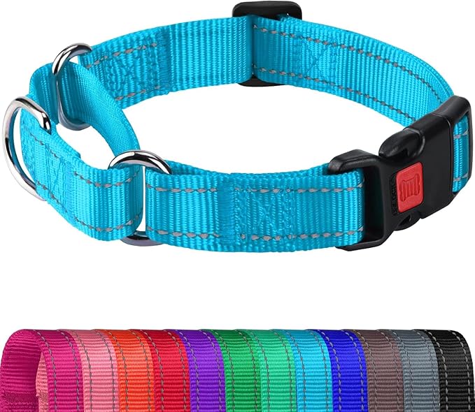 Joytale Martingale Collar for Dogs, Reflective Heavy Duty for Safety, Quick Release Buckle, Adjustable Nylon Collars for Medium Dogs Walking Training, Sky Blue,M