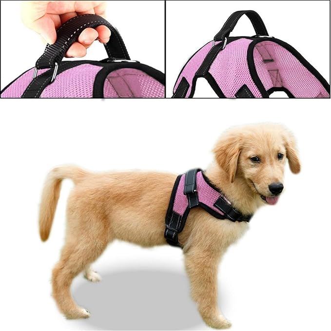 No Pull Reflective Adjustable Dog Harness With Handle- Comfortable Soft All Weather Mesh, Easy On Puppy Harness For Small Medium and Large Dogs (Pink) Medium